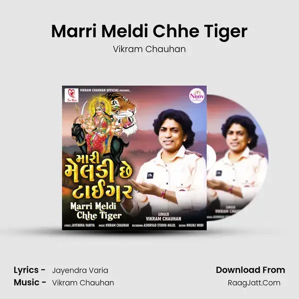 Marri Meldi Chhe Tiger - 