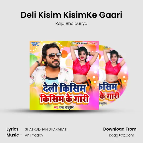 Deli Kisim KisimKe Gaari mp3 song