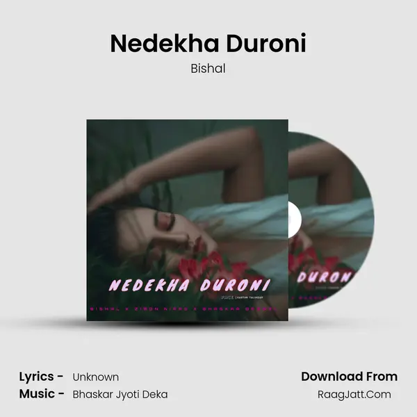 Nedekha Duroni Song mp3 | Bishal