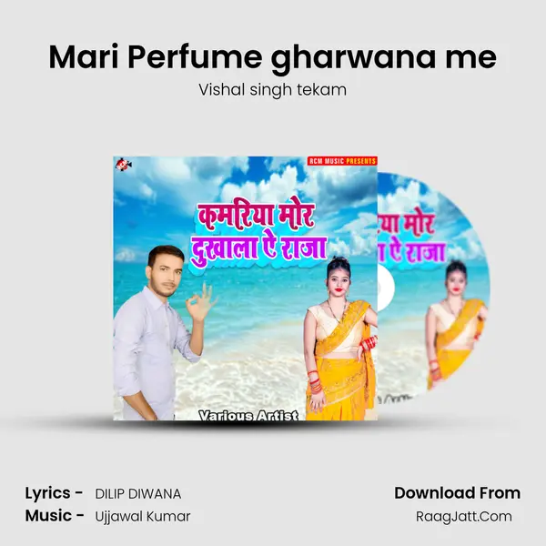 Mari Perfume gharwana me Song mp3 | Vishal singh tekam