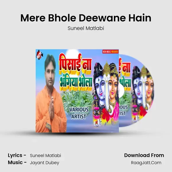 Mere Bhole Deewane Hain Song mp3 | Suneel Matlabi