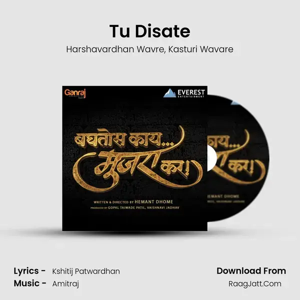 Tu Disate mp3 song