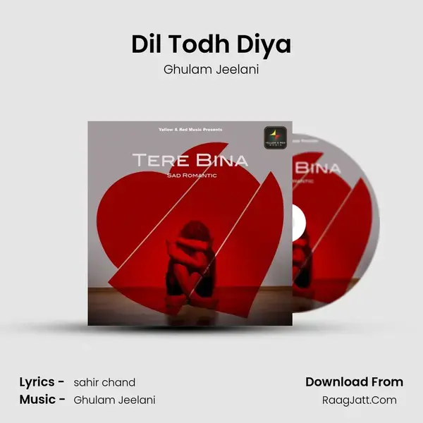 Dil Todh Diya mp3 song