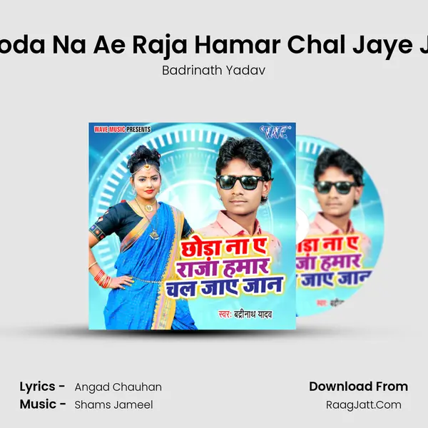 Chhoda Na Ae Raja Hamar Chal Jaye Jaan Song mp3 | Badrinath Yadav