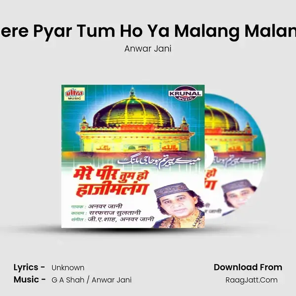 Mere Peer Tum Ho Haji Malang - Anwar Jani