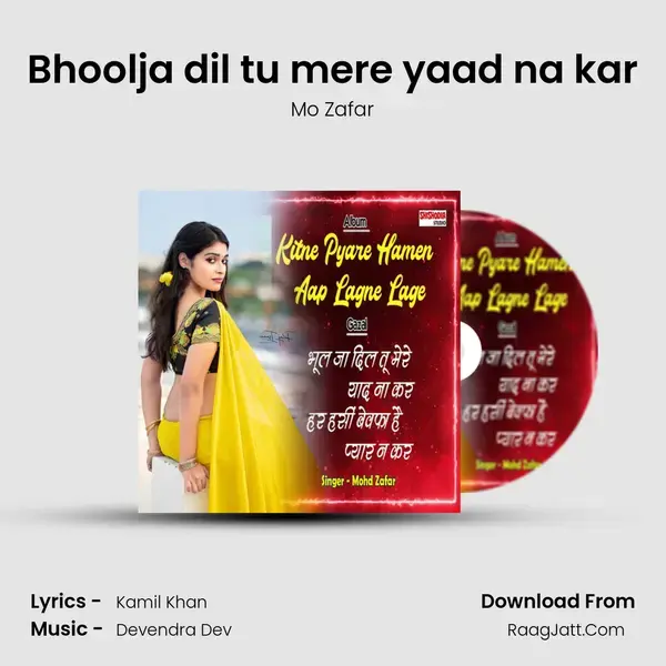 Bhoolja dil tu mere yaad na kar mp3 song