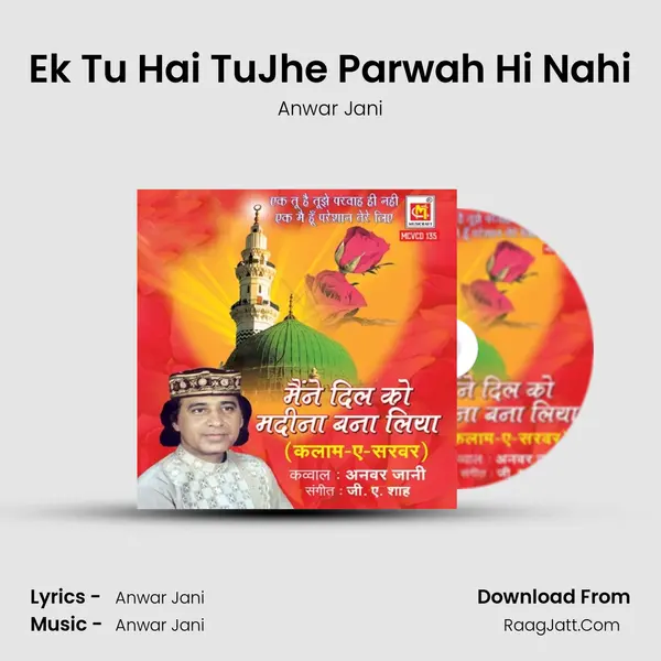 Ek Tu Hai TuJhe Parwah Hi Nahi mp3 song