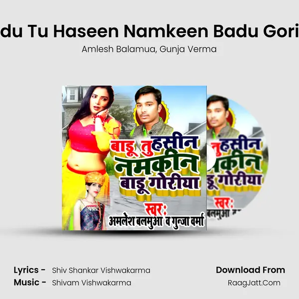 Badu Tu Haseen Namkeen Badu Goriya mp3 song