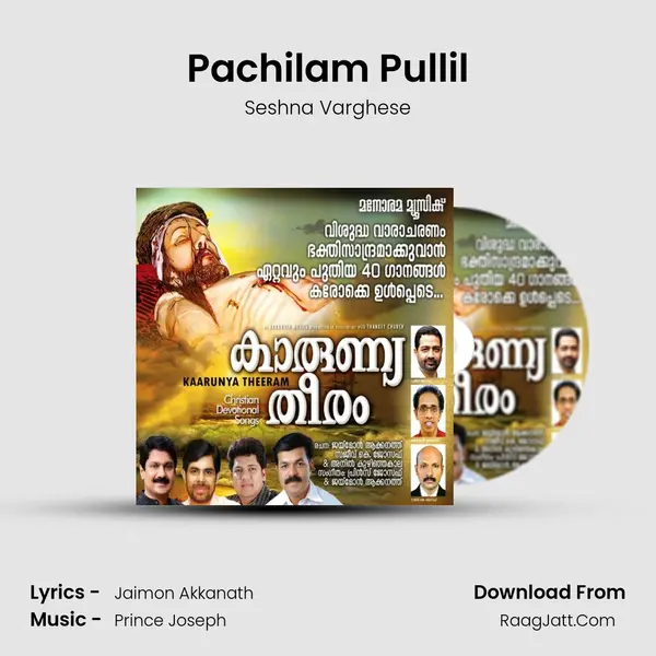 Pachilam Pullil Song mp3 | Seshna Varghese