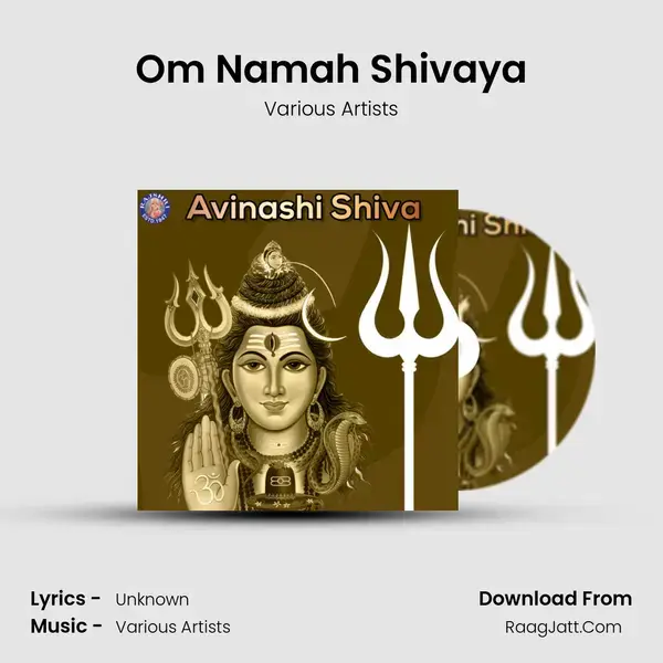 Om Namah Shivaya Song mp3 | Various Artists