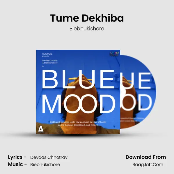 Tume Dekhiba Song mp3 | Biebhukishore