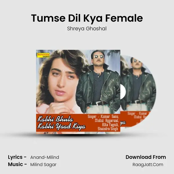 Tumse Dil Kya Female mp3 song