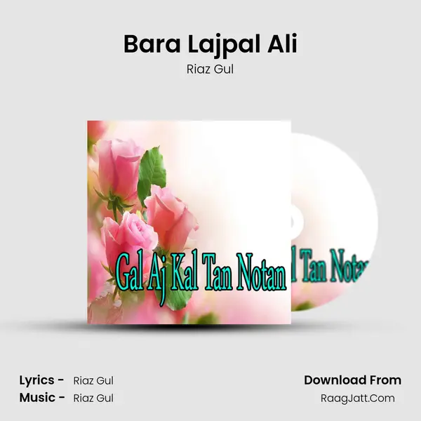 Bara Lajpal Ali Song mp3 | Riaz Gul