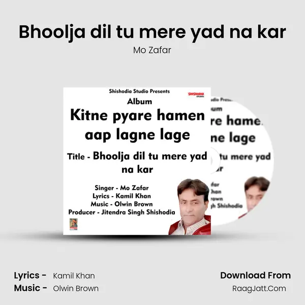 Bhoolja dil tu mere yad na kar mp3 song