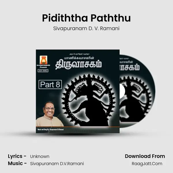 Pidiththa Paththu Song mp3 | Sivapuranam D. V. Ramani