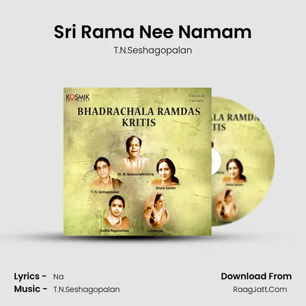 Sri Rama Nee Namam Song mp3 | T.N.Seshagopalan