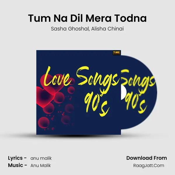 Tum Na Dil Mera Todna mp3 song