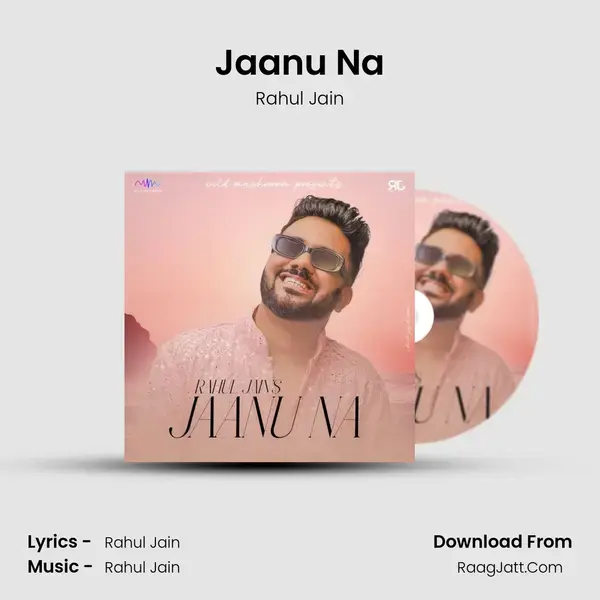 Jaanu Na - Rahul Jain