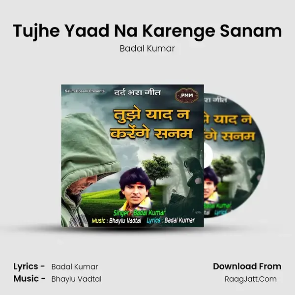 Tujhe Yaad Na Karenge Sanam mp3 song