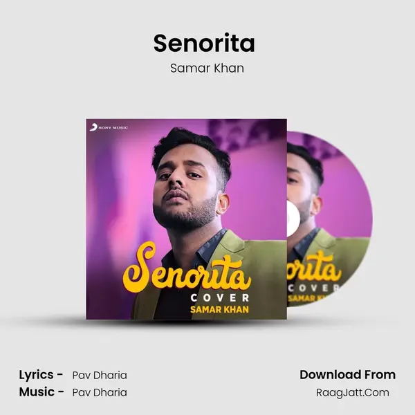 Senorita (Cover Version) mp3 song