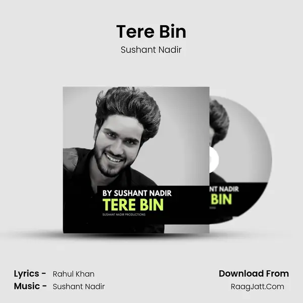 Tere Bin Song mp3 | Sushant Nadir