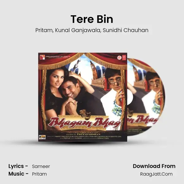 Tere Bin Song mp3 | Pritam