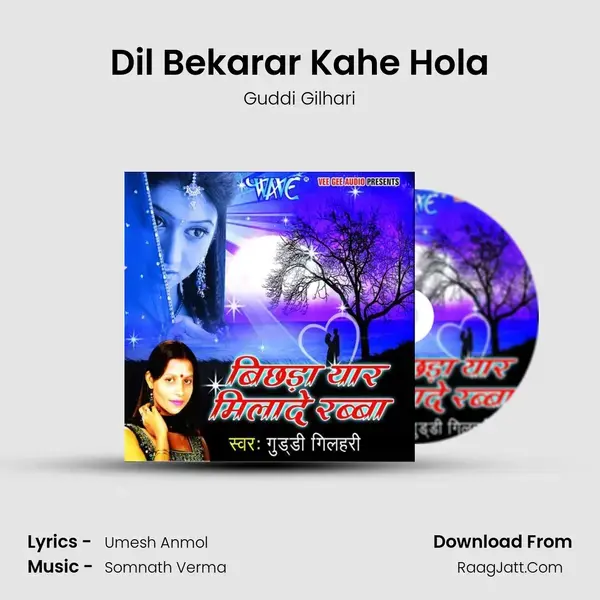 Dil Bekarar Kahe Hola mp3 song