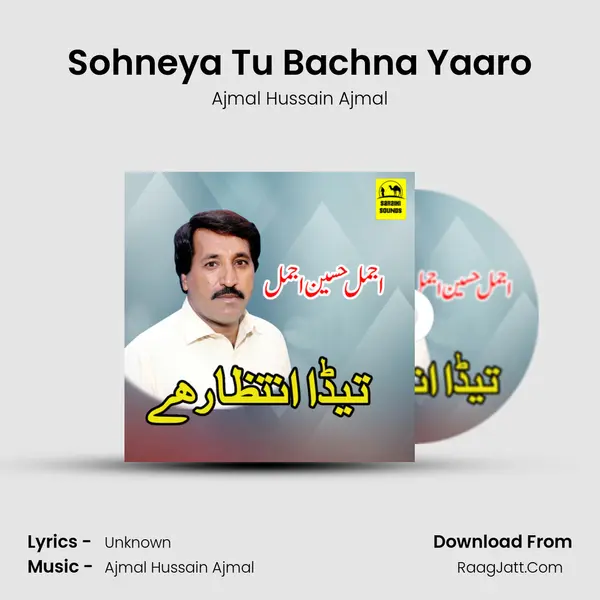 Sohneya Tu Bachna Yaaro mp3 song