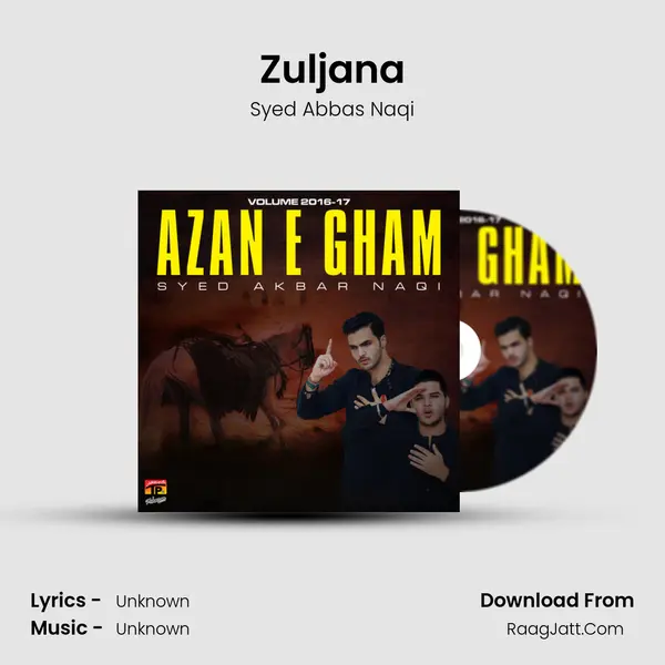 Zuljana Song mp3 | Syed Abbas Naqi