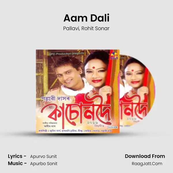 Aam Dali Song mp3 | Pallavi