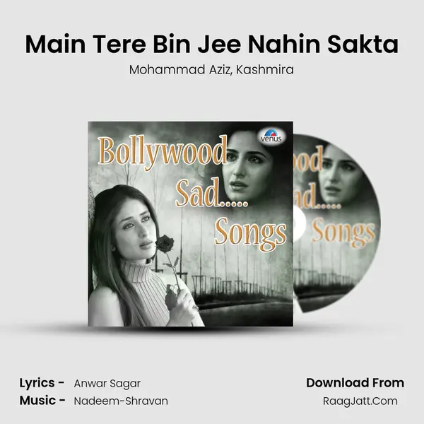 Main Tere Bin Jee Nahin Sakta mp3 song