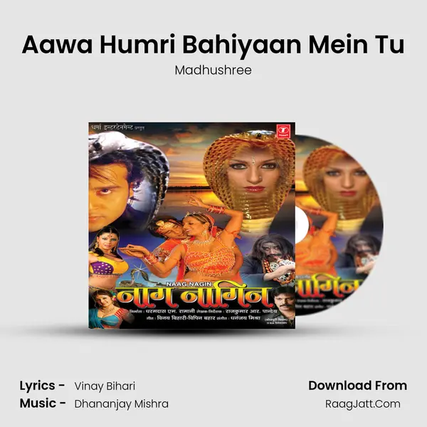 Aawa Humri Bahiyaan Mein Tu Song mp3 | Madhushree