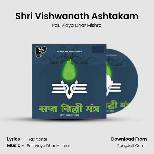 Shri Vishwanath Ashtakam Song mp3 | Pdt. Vidya Dhar Mishra