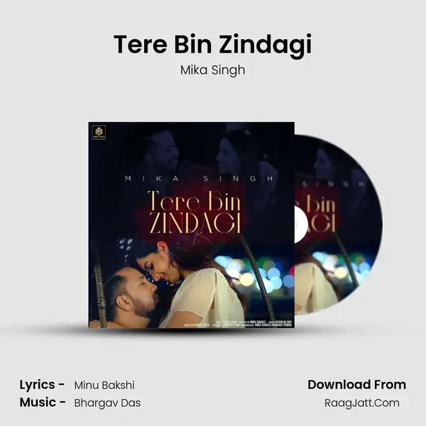 Tere Bin Zindagi mp3 song