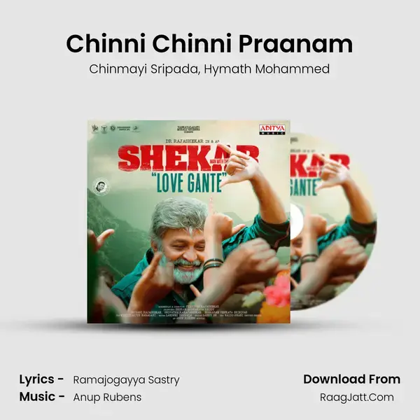 Chinni Chinni Praanam mp3 song