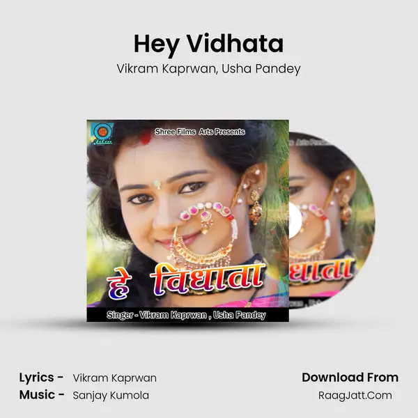 Hey Vidhata Song mp3 | Vikram Kaprwan