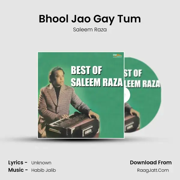 Bhool Jao Gay Tum mp3 song