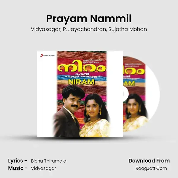 Prayam Nammil Song mp3 | Vidyasagar