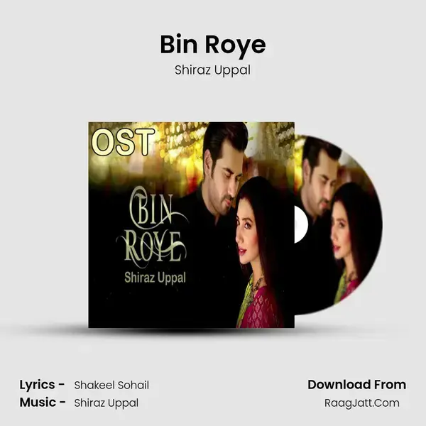 Bin Roye Song mp3 | Shiraz Uppal