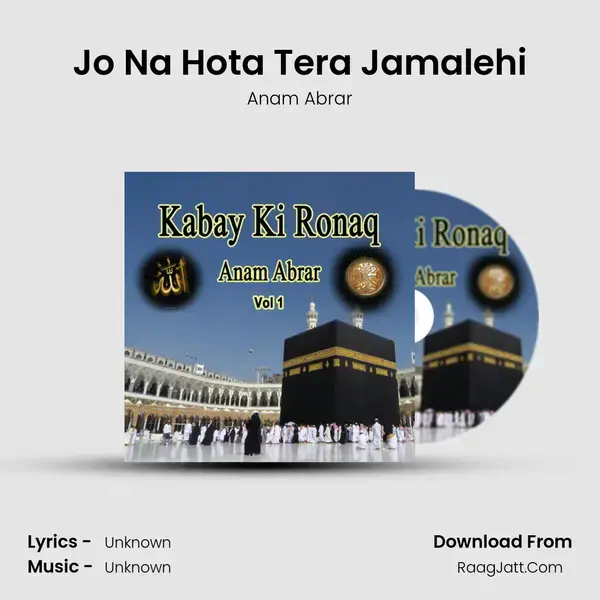 Jo Na Hota Tera Jamalehi Song mp3 | Anam Abrar