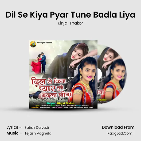 Dil Se Kiya Pyar Tune Badla Liya mp3 song