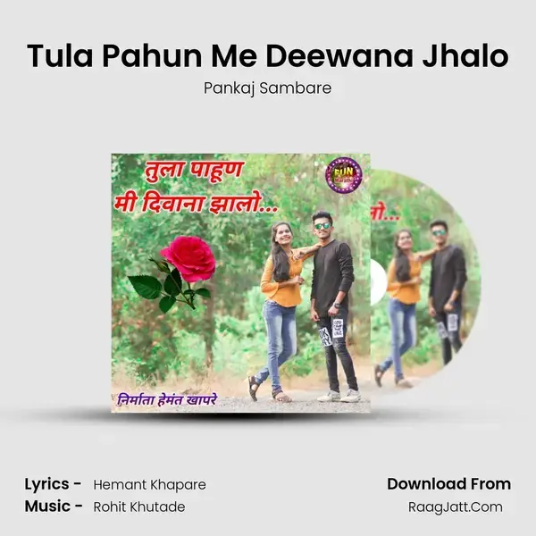 Tula Pahun Me Deewana Jhalo mp3 song