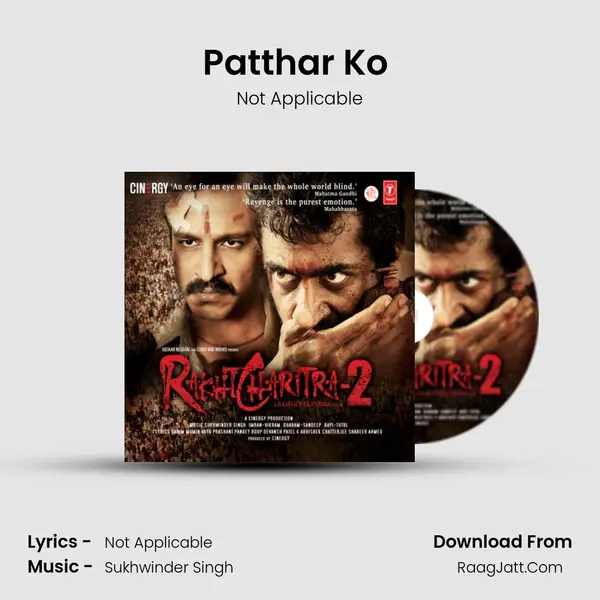 Patthar Ko (Theme) Song mp3 | Not Applicable