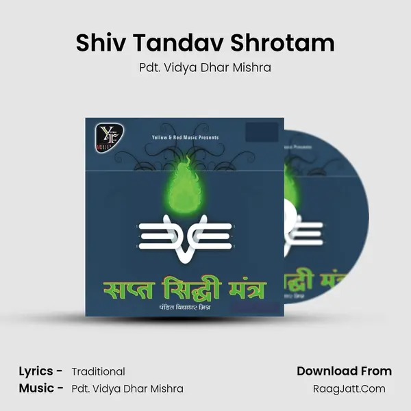 Shiv Tandav Shrotam Song mp3 | Pdt. Vidya Dhar Mishra