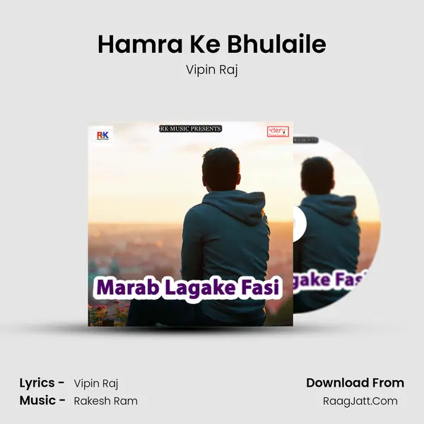 Hamra Ke Bhulaile Song mp3 | Vipin Raj