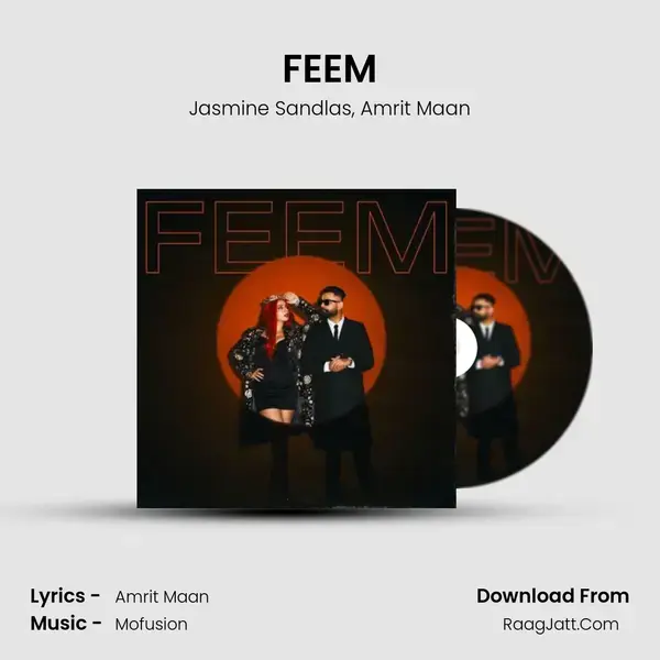 FEEM album cover