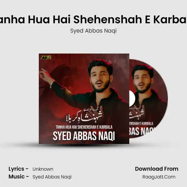 Tanha Hua Hai Shehenshah E Karbala mp3 song