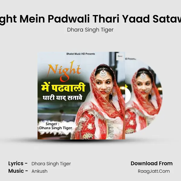 Night Mein Padwali Thari Yaad Satawe mp3 song