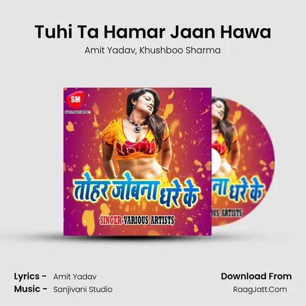 Tuhi Ta Hamar Jaan Hawa Song mp3 | Amit Yadav