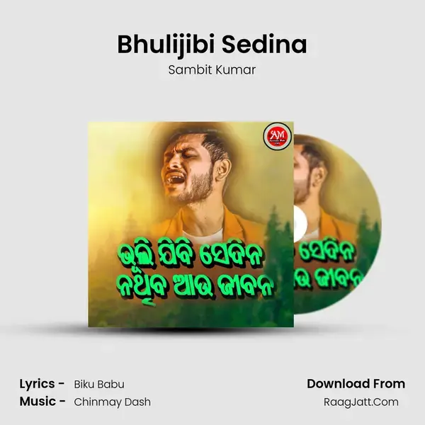 Bhulijibi Sedina mp3 song